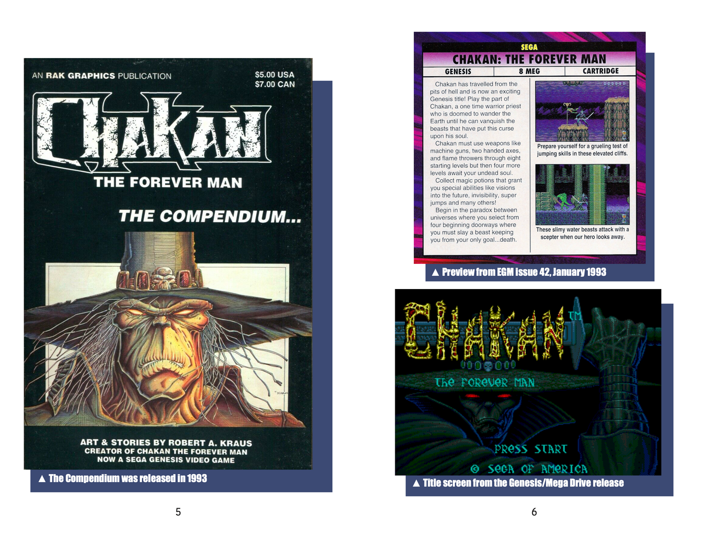 Retro Game Zine - Chakan The Forever Man