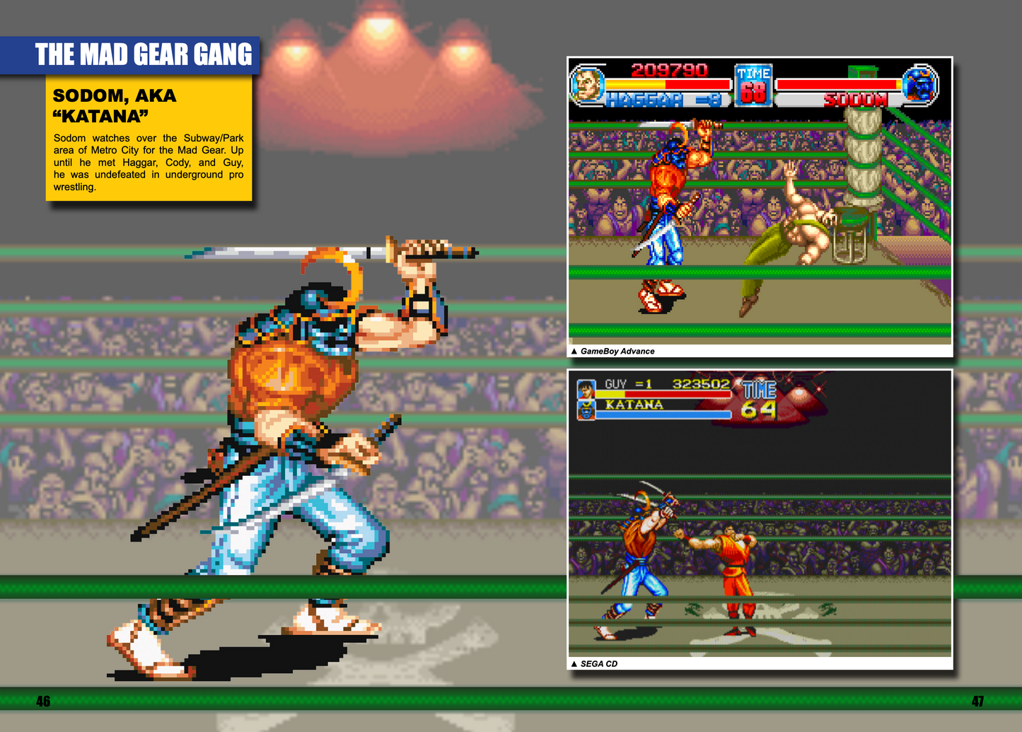 Beat 'Em Up: The Unofficial History of the Genre Volume 1 - SOFTCOVER